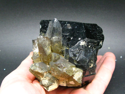 Fine Black Tourmaline and Smoky Quartz Crystal From Namibia - 3.9"
