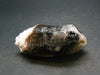 Spessartine Spessartite Garnet On Smoky Quartz Crystal From China - 2.4"