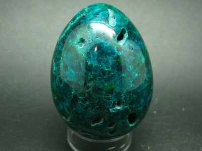 Very Rare Large Dioptase Egg From Congo - 2.4"