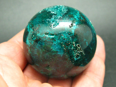 Very Rare 100% Pure Dioptase Sphere Ball from Congo - 1.8"