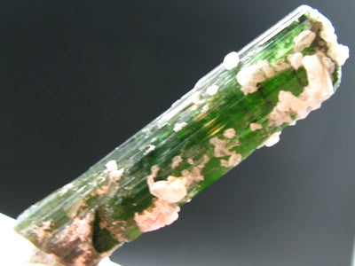 Green Tourmaline Crystal From Brazil - 2.7" - 129 Carats