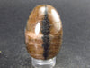 Chiastolite Variety of Andalusite Egg from China - 1.4"