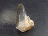 Nice Natural Citrine Crystal from Zambia - 150 Carats - 3.3"