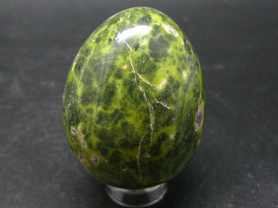 Rare Atlantasite Stichtite + Serpentine Egg from Australia - 1.7"
