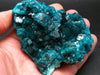 Stunning Dioptase cluster from Congo - 3.5"