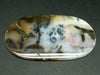 Bear in the Magic Forest!! Rare Scenery Moss Agate Cabochon from Kazakhstan