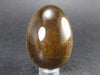 Golden Tiger Eye Egg From South Africa - 1.9"