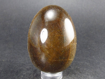 Golden Tiger Eye Egg From South Africa - 1.9"