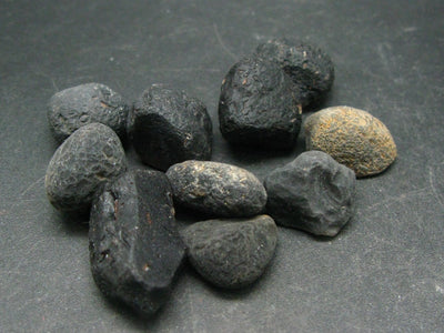 Lot of 10 Rare Saffordite Cintamani Stone Pseudotektites from Arizona USA - 215 Carats - 43 grams