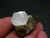 Phenakite Phenacite Gem Crystal on Quartz matrix from Mogok Burma / Myanmar 1.4"