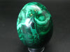 Large Rich Vivid Vibrant Green Malachite Egg From Congo - 3.5"