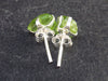 Cute Small Natural Peridot (Olivine) Stud Earrings In Sterling Silver from Pakistan - 0.7"