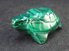 Malachite Turtle Carving From Congo - 1.3" - 19.7 Grams