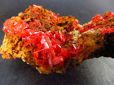 Rare Orange Crocoite Cluster From Australia - 3.4" - 144 Grams