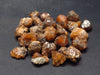 Lot of 25 Rare Spessartine Garnet Crystals From Tanzania - 43.0 Grams