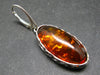 Nature’s Time Capsule!! Natural Honey Color Baltic Amber Dangle 925 Silver Leverback Earrings - 1.8"