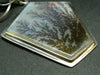 Tranquillity!! Rare Scenery Moss Agate Cabochon 925 Sterling Silver Pendant with Silver Chain from Kazakhstan - 4.0"