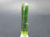 Green Tourmaline Crystal From Brazil - 1.7" - 36 Carats