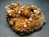 Wulfenite Cluster From Arizona - 3.5" - 207 Grams