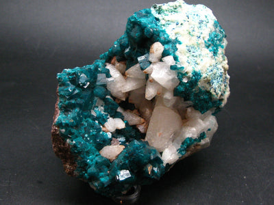 Stunning Dioptase with Calcite Cluster from Congo - 4.2"