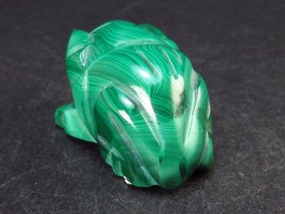 Rich Vivid Vibrant Green Malachite Frog Carving From Congo - 1.3" - 29.0 Grams