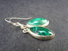 Queen of Green!! Vivid Vibrant Green Malachite Dangling SS Earrings - 3.70 Grams