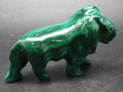 Malachite Lion Carving From Congo - 3.1"