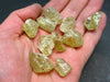 Lot of 10 Gem Golden Apatite Crystals From Mexico