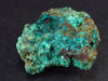 Very Nice Dioptase Cluster from Congo - 1.8" - 47.8 Grams