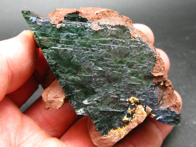 Vivianite Crystal on Matrix From Bolivia - 3.2"
