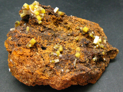 Wulfenite Cluster From Arizona - 3.6"