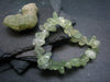 Prehnite & Epidote Genuine Bracelet ~ 7 Inches ~ 12mm Tumbled Beads