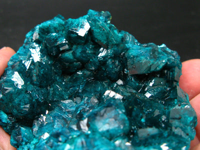Stunning Dioptase cluster from Congo - 3.5"