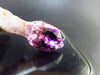 Elestial Amethyst Crystal Sceptered on Thin Stem from Zimbabwe - 17.9 Grams - 2.5"