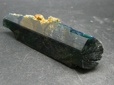 Vivianite Crystal From Bolivia - 3.5"