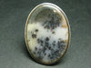 Motherland!! Rare Scenery Moss Agate Cabochon 925 Sterling Silver Ring with Silver Chain from Kazakhstan - Size 7