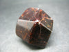 Red Almandine Garnet Crystal From India - 1.4" - 55.3 Grams