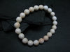 Conch Shell Genuine Bracelet ~ 7 Inches ~ 8mm Round Beads