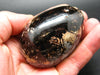 Russian Treasure from the Earth!! Large Metallic Bronze Astrophylite Astrophyllite Egg From Russia - 2.6"