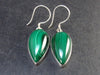 Queen of Green!! Vivid Vibrant Green Malachite Dangling SS Earrings - 1.7" - 9.9 Grams