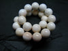 Conch Shell Genuine Bracelet ~ 7 Inches ~ 8mm Round Beads