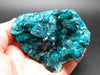 Stunning Dioptase cluster from Congo - 3.5"