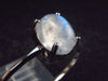 Natural Glow From Inside Moonstone 925 Silver Ring - 1.6 - Size 10.25