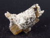 Gem Brown Topaz Crystal from Utah, USA - 1.2"