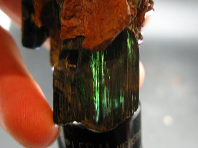 Vivianite Crystal on Matrix From Bolivia - 4.0"