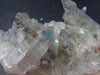 Rare Ajoite in Quartz Cluster from South Africa - 3.7" - 126.5 Grams
