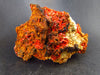 Rare Orange Crocoite Cluster From Australia - 3.4" - 144 Grams