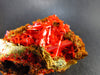 Rare Orange Crocoite Cluster From Australia - 3.4" - 144 Grams