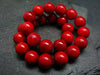 Red Coral Genuine Bracelet ~ 7 Inches ~ 8mm Round Beads