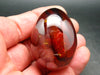 Extremely Rare Sphalerite Egg From Spain - 1.7" - 96.1 Grams